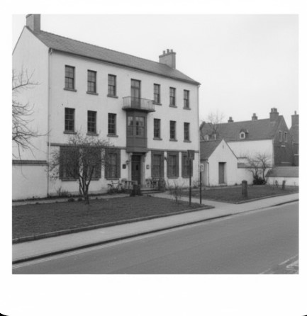 　セブンイレブンの無添加は嘘ではない結論